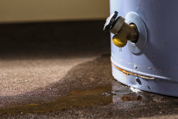 Best Water damage restoration near me  in East Northport, NY