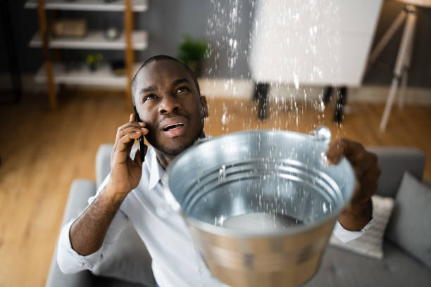 Best Water damage restoration experts  in East Northport, NY