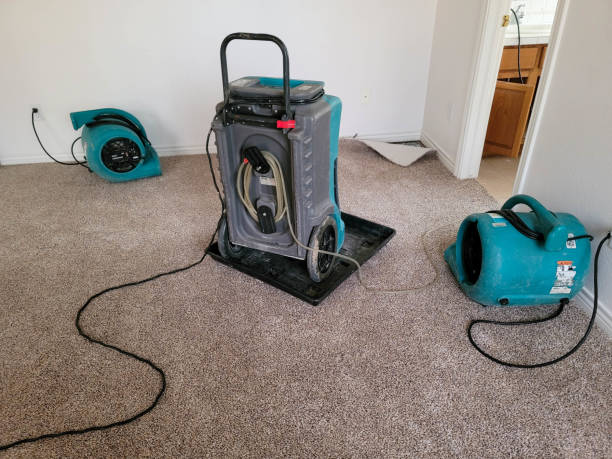 Best Water damage restoration near me  in East Northport, NY