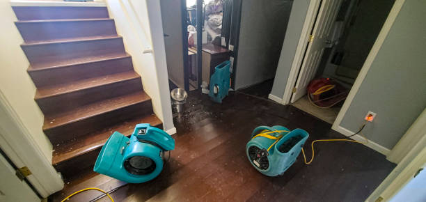 Best Residential water damage restoration  in East Northport, NY