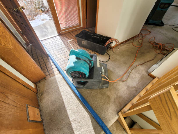 Best Water damage mitigation services  in East Northport, NY