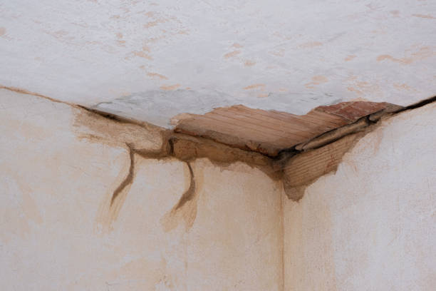 Best Commercial water damage restoration  in East Northport, NY